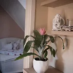Orchidea