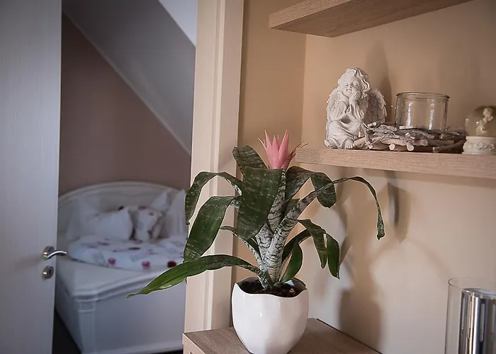 Orchidea