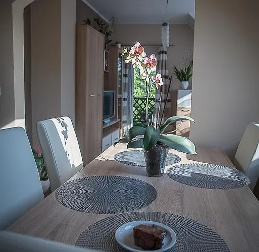 Orchidea Appartement