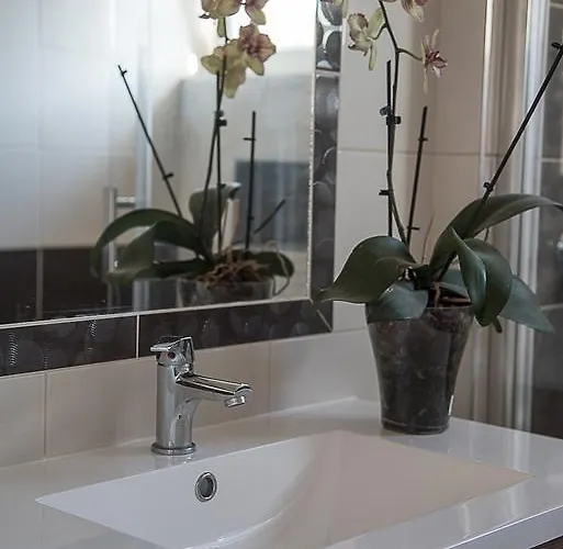 Orchidea